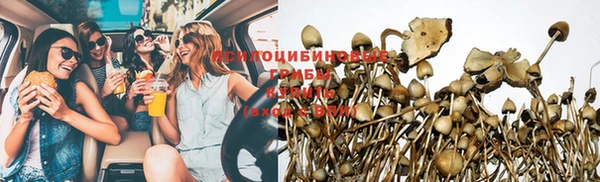 MESCALINE Осинники